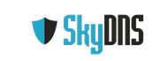 ООО "СкайДНС"